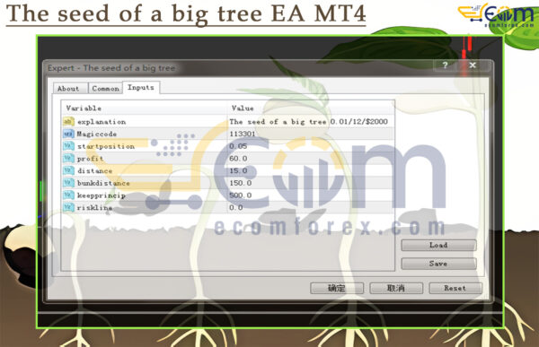 The seed of a big tree EA MT4 Input