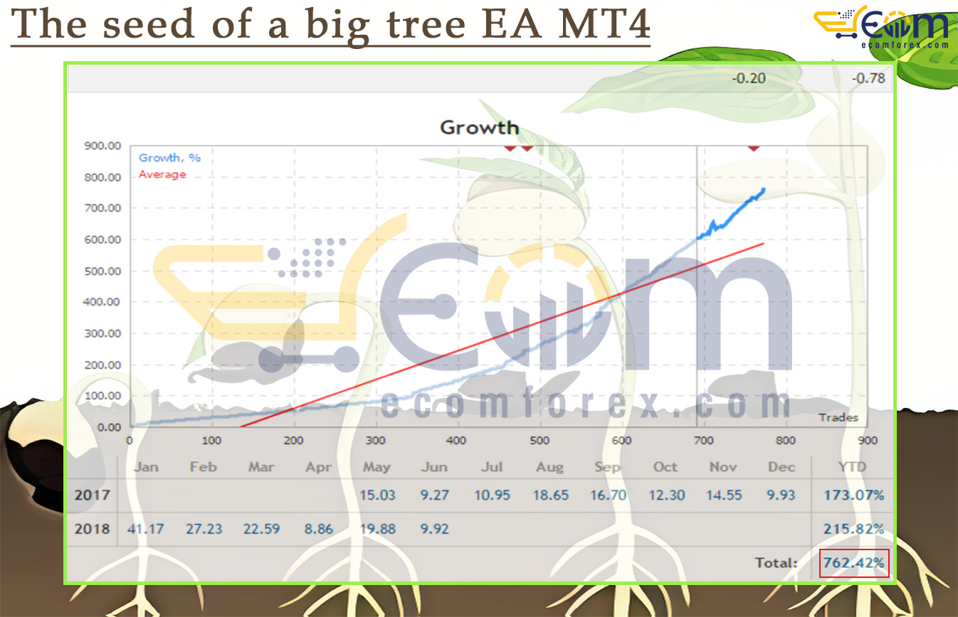 The seed of a big tree EA MT4 Live Result
