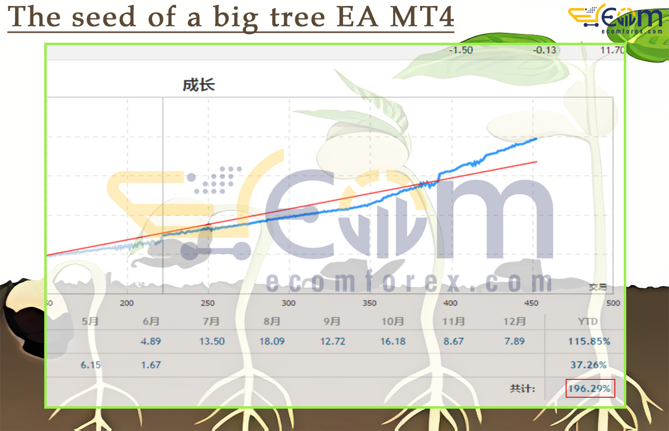 The seed of a big tree EA MT4 Live Results