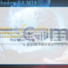 Trand Shadow EA MT4 Input