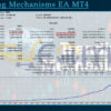 Trending Mechanisms EA MT4 Backtests
