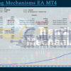 Trending Mechanisms EA MT4 Backtests Result