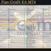 Trillion Pips GridX EA MT4 Input
