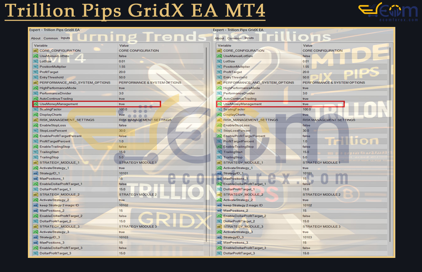 Trillion Pips GridX EA MT4 Input