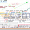 Triton EA MT5 Backtests Result