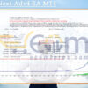 Turbo Next Adv4 EA MT4 Backtests Result