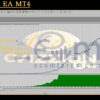 Vizzion EA MT4 Backtest