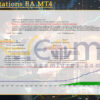 Work Stations EA MT4 Backtest