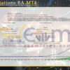 Work Stations EA MT4 Backtests