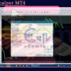 Xgrid Scalper MT4 Input