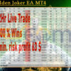 You Golden Joker EA MT4 Backtests