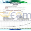 AI Scalper EA MT4 Backtests Result