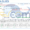 BlueWhale EA MT4 Live Result MyfxBook