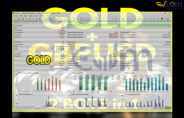 DUO Gold GbpUsd harmonic patterns MT5 Backtests