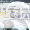 Dynamics Pips Bot4 MT4 Backtest
