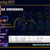 EA Underdog MT5 Review