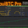 EquiBTC Pro EA MT5 Backtest