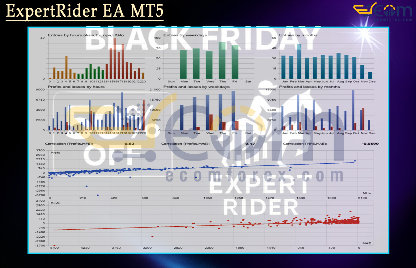 ExpertRider EA MT5 Backtest