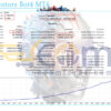 Forex Mentors Bot4 MT4 Backtest