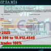 Genesis VIP EA MT4 Backtest