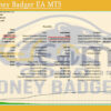 Gold Honey Badger EA MT5 Backtest