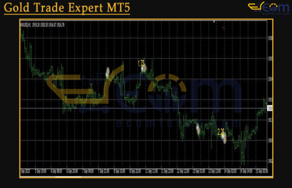 Gold Trade Expert MT5 Review