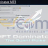 HFT Dominator MT5 Input
