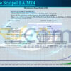 Impulsive Scalpel EA MT4 Backtest