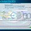 Impulsive Scalpel EA MT4 Backtest Result