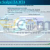 Impulsive Scalpel EA MT4 Backtests