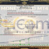 Money GOLD EA MT4 Backtest