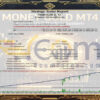 Money GOLD EA MT4 Backtests