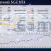 Neural network NGZ MT4 Backtest