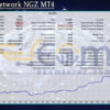 Neural network NGZ MT4 Backtests