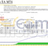 Patterson EA MT4 Backtest