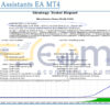 Personal Assistants EA MT4 Backtest