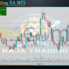 Raja Trading EA MT5 Backtest