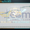 Raja Trading EA MT5 Backtests
