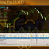 Raja Trading Pro EA MT5 Backtest
