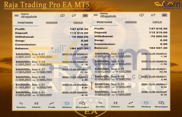 Raja Trading Pro EA MT5 Live Signal