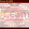 Regular Winner EA MT4 Backtest