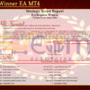 Regular Winner EA MT4 Backtests