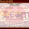 Regular Winner EA MT4 Backtests Result