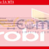 Robi Auto EA MT4 Setting