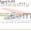 Steadily Forward EA MT4 Setting