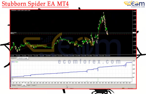 Stubborn Spider EA MT4 Backtest