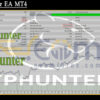 TPHunter EA MT4 Backtest