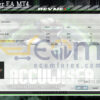 Accuwiser EA MT4 Input