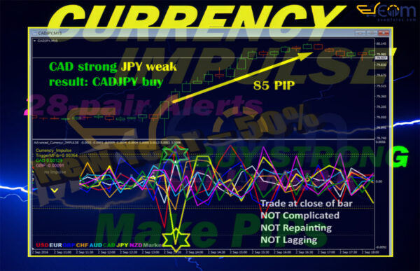 Advanced Currency IMPULSE with ALERT MT4 Review