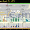 Aurus Pivot XAU EA MT5 Backtest